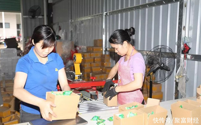 实体店|电商“问题”终暴露？实体店受冲击关店，大批电商为何也做不下去