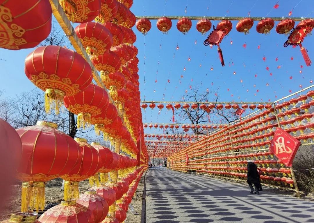 中年|北京海淀凤凰岭丨春节免费游园，助力“留京过年”！