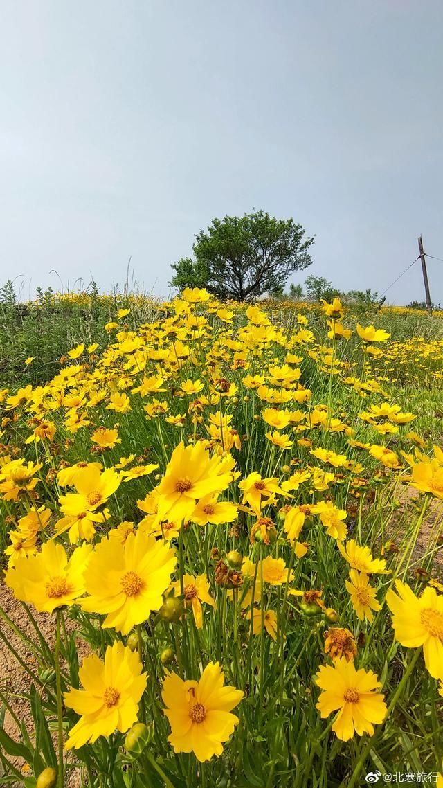 瀑布|瀑布清泉、虫鸣鸟叫、晨观云海、夜观星空，这个21℃的“山水画廊”邀你来清爽一夏!