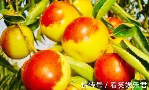 通便|秋天养生,多吃3种食物,排毒清脂,润肠通便,好处多多