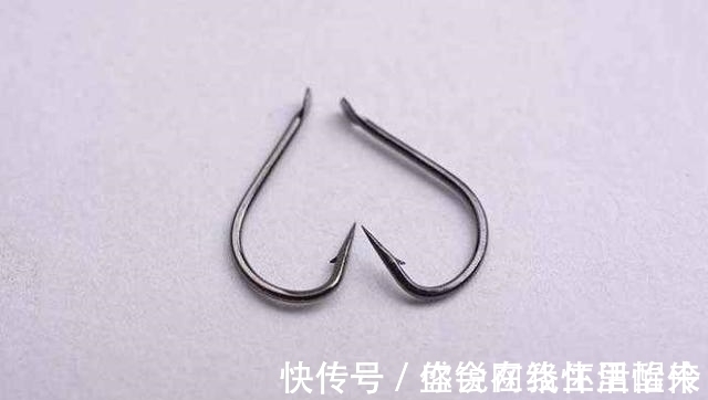 鲢鳙怎么钓？很多人第一步就错了。注意到这3点就怕鱼护装不下