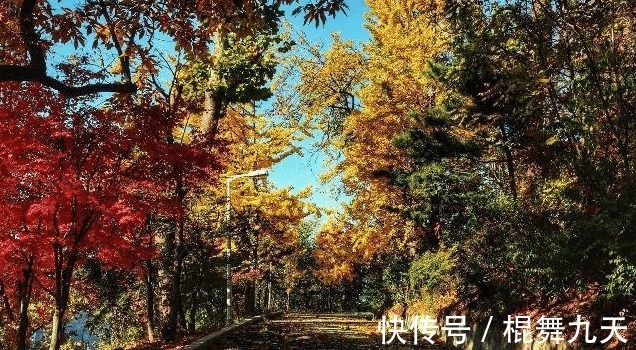 寒鸦@李白最有争议的一首诗,开篇6字惊艳世人,其中一句千年无人超越