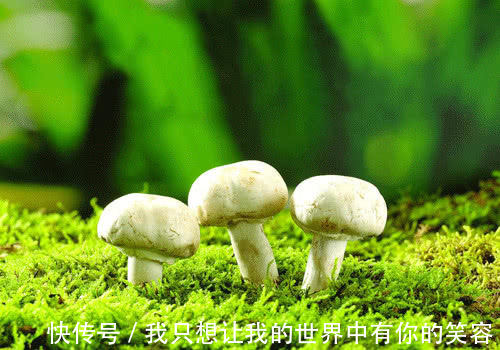 天敌|4种食物,是肝癌肝硬化的天敌,每天食用,让肝再健康20年