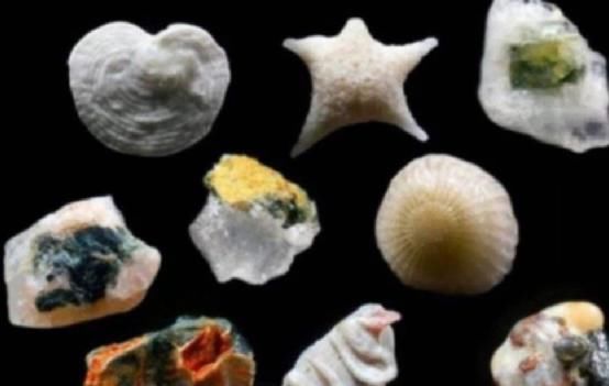 沙子 科学家将沙子放大300倍后,发现里面结构极似一个微型世界