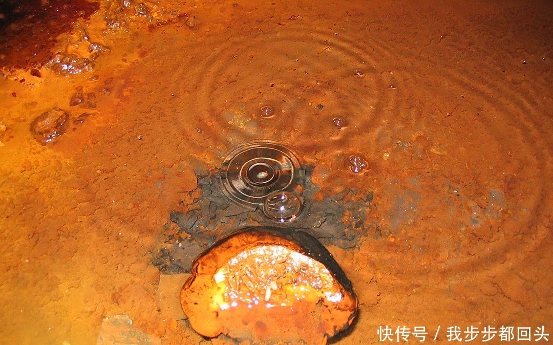 地球 为什么水在地球上44亿年都不会过期,而装入瓶子中很快就过期?