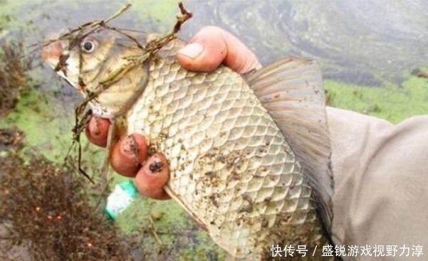 台钓的变化,对垂钓效果影响很大,钓友们应该详细了解