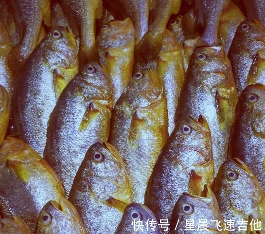 海岛|光海岛就有1000+个！央视都来直播的小城，7月能偶遇梦幻的荧光海！