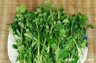 野菜|农村4种野菜，清热解毒、补虚益精，治咳嗽比吃药还管用。