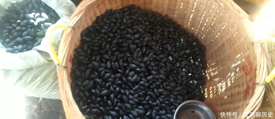 大叔街边卖“水果”,30元一斤无人买,看清是“它”后,我全包了!