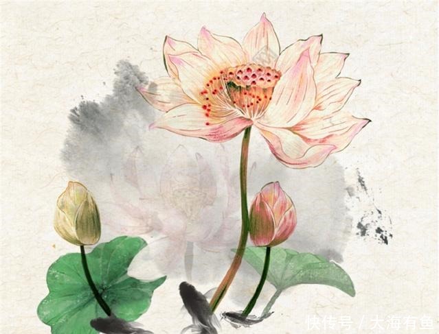 降临|人生不顺时,悟透三句话,福气自然来,路越走越宽!