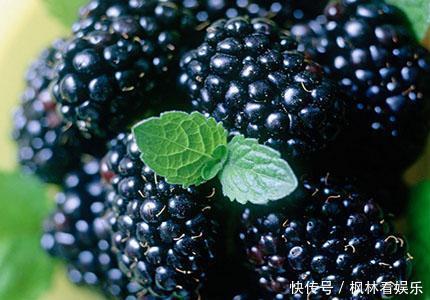 吃桑葚好处多, 抗氧化、延缓衰老,可2类人一口不能吃