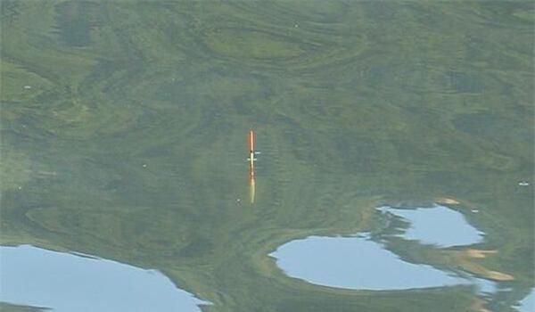 技巧|调漂技巧:同样的调目和钓目,为何双饵状态效果不同,灵钝不同?