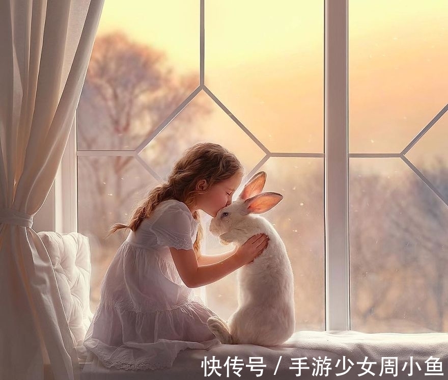 你是谁&人行于世最深的套路:真诚