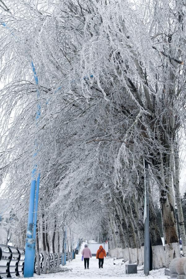 总有一场风雪，为你而来