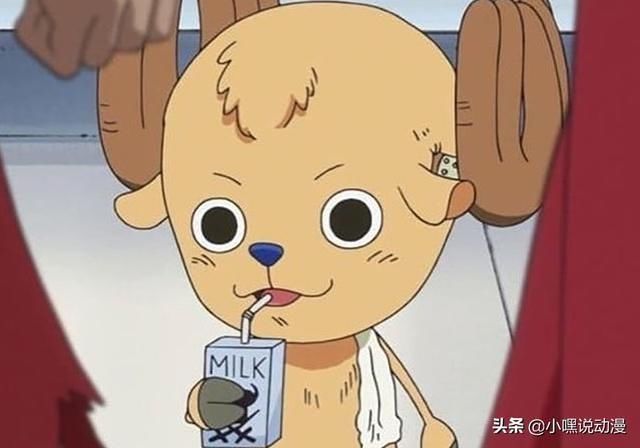 草帽团|《海贼王》草帽团被全员剃光头，娜美不再女神，布鲁克毫无违和感