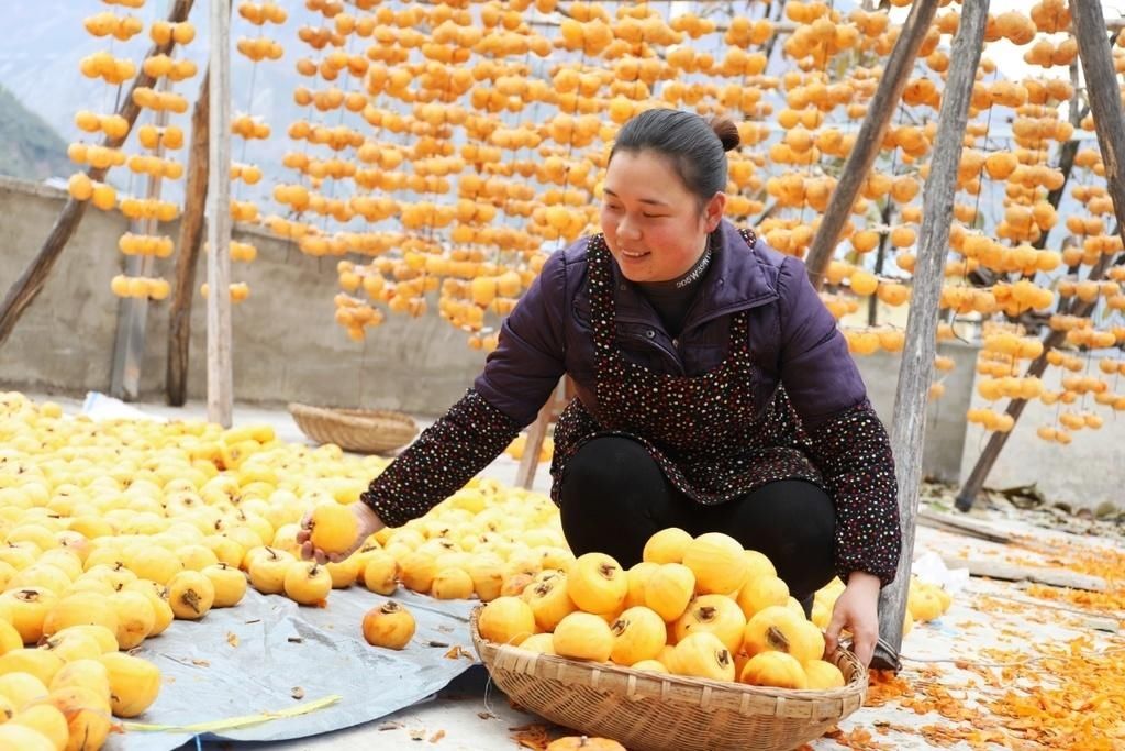 探访：九寨沟旅游复苏，村民满怀信心摆摊卖柿子|走进美丽新九寨 | 满怀信心