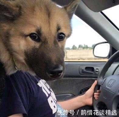 |幽默笑话:过年从部队回家探亲,父亲心疼地对他说……