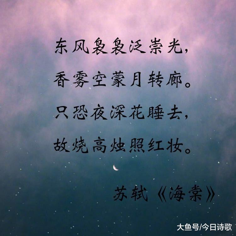 诗人&读完苏轼的这首诗, 才发现爱花原来也能那么痴情!