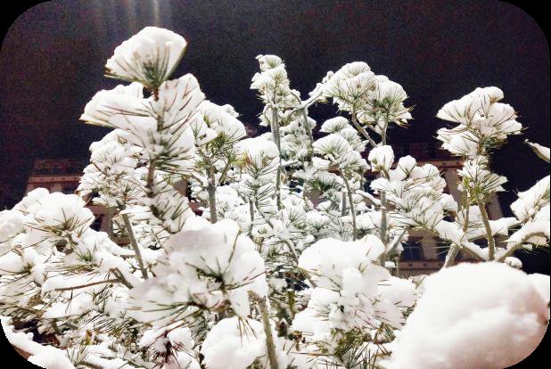 撞个满怀|日光倾城，秋去冬来 与小城卓尼的雪花撞个满怀