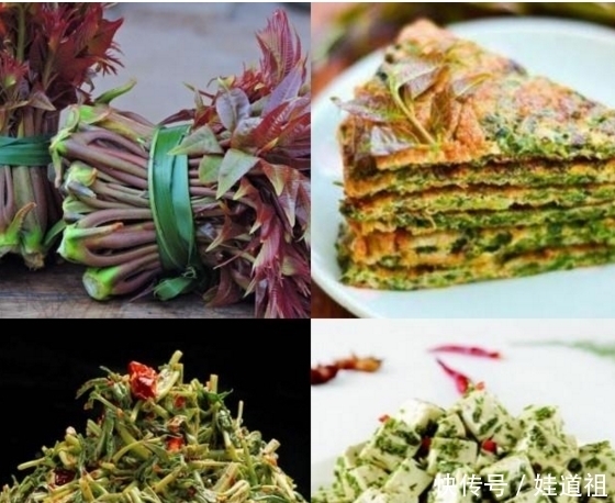 蒲公英|春季到农村挖野菜,这九种野菜可以吃而且营养价值高,你吃过几种