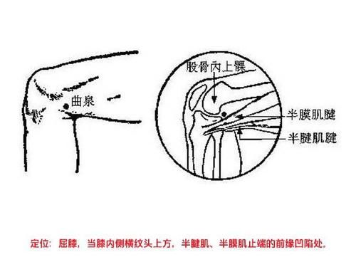 足太阴脾经|人体除湿是哪个穴位最好？