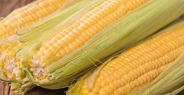 玉米|减肥的人，不要错过3种瘦身食物，晚上吃了，早上准时排宿便