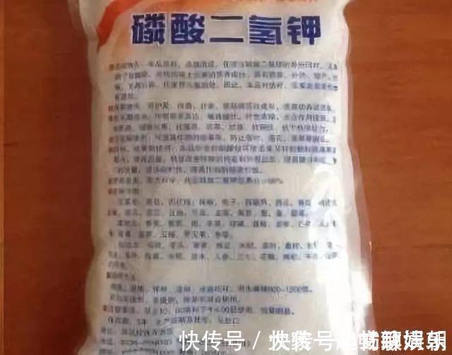 3个养花“小技巧”，越早知道越好！养花百分百成活，1分钟学会