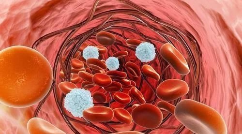 日常生活中|60岁后,身体还能达到4个标准,有长寿潜质,占得越多越好