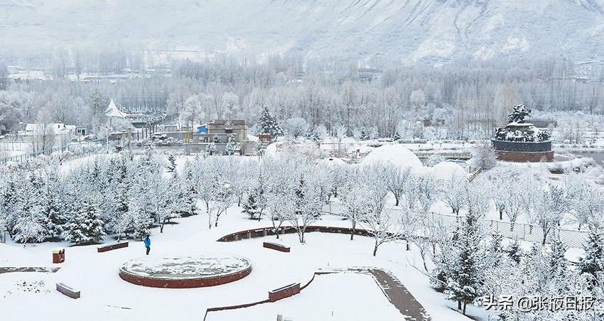 祁连山下忽如一夜“雪”飘来，千树万树“雪”花开