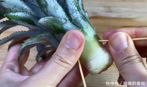 吃剩下的“菠萝头”不要扔,插3根牙签,放在家里太棒了,快学学