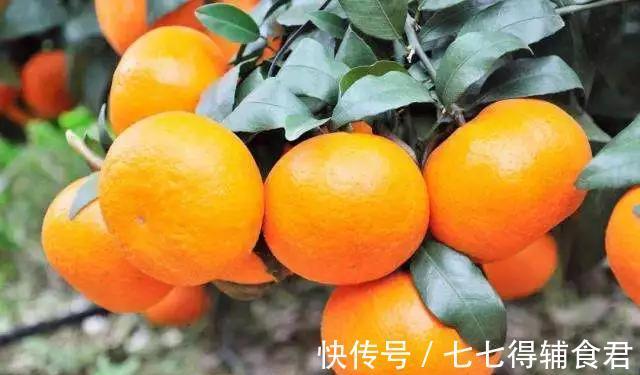 衰老|适合秋季吃的3种食物，排毒养颜，延缓衰老，有益健康