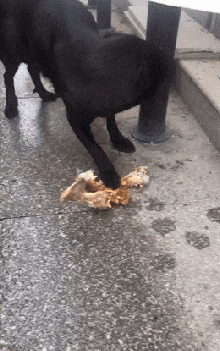 |搞笑段子奉上,准备好笑出腹肌