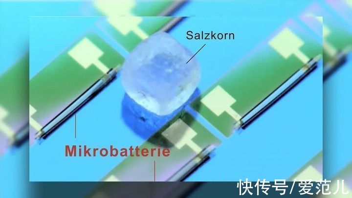 bet用卷瑞士卷的方式，科学家研发了全球最小的电池