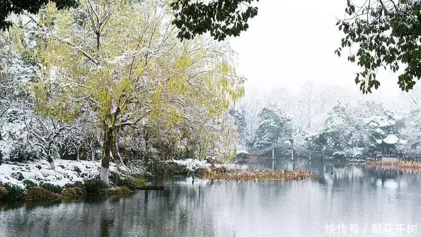 有一种雪，只属于中国，下在了江南