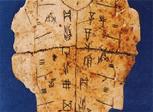 止血$古代一敷就能止血的“金疮药”,为何突然消失了?看原材料就懂了