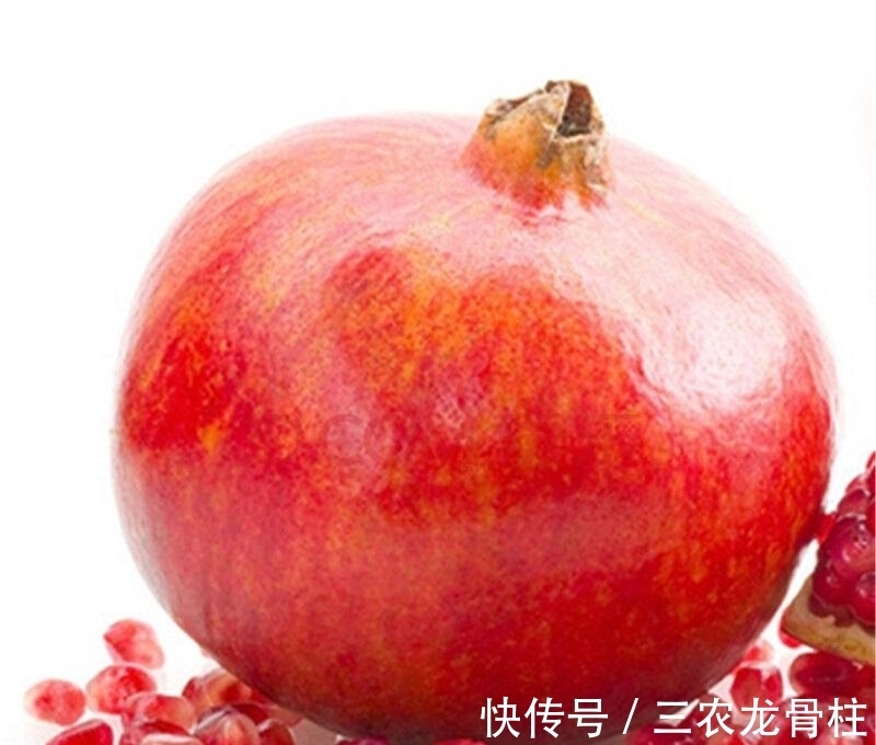 荔枝|养花不如栽果树,试试种几款果树,果子大又甜