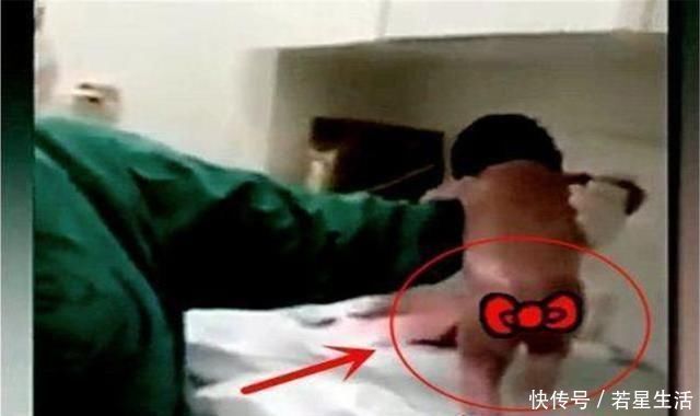 新生儿|“最牛新生儿”走红,脐带还没剪就想“跑”,还好医生眼疾手快