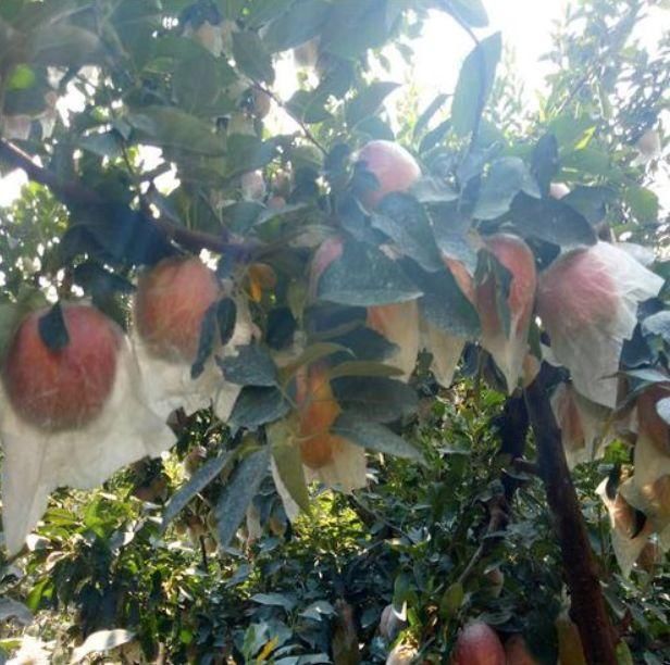 打通血管的好方法来啦,通络活络补血益气,告诉大家小妙招