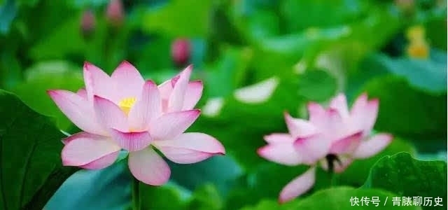 属蛇人21年 生肖蛇有3大喜来临 你还不快快来接喜 全网搜