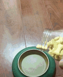 狗子|“一男子为了庆祝好友退役归来,竟女装欢迎?”哈哈哈哈