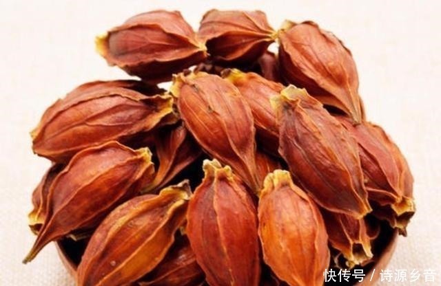 麻辣卤水|了解食材从这里开始，香料大全与用途，美食爱好者首选
