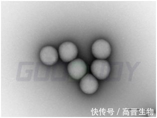 化合物|抗癌神器BNCT硼药国内中试量产！ 30分钟治愈多种癌症的硼药有多神奇！