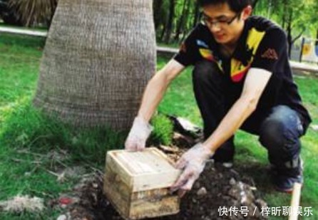 是真的吗|孩子出生后,“胎盘”怎么处理看看科学的处置方式,不再迷茫了