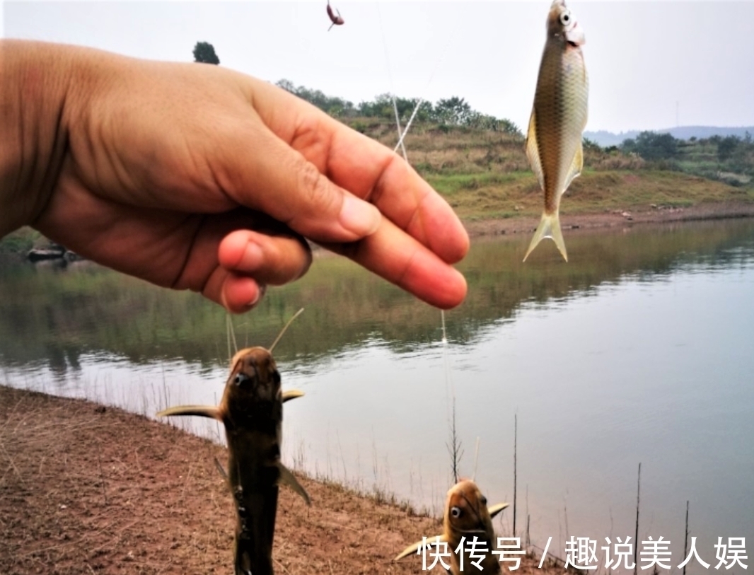 钓鱼调漂也有口诀?这6句调漂金句,你知道几句