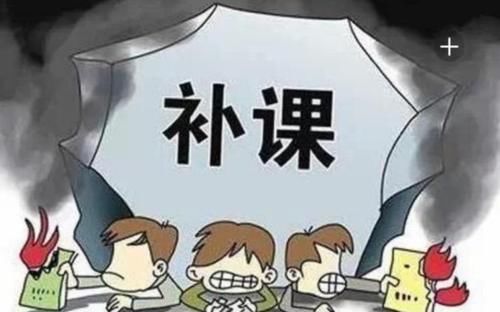 小妮|补课补半年，竟然补了个寂寞，报补习班要知道这些