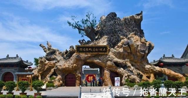 大槐树#纯正血统汉族人有一个共同点小脚趾甲是两瓣原因令人颇感意外!