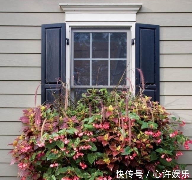 任何容器都能用来做花盆,请收好这30种美丽的花盆搭配设计