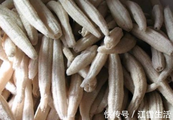 功效|农村总拿它当洗碗布,却不知“功效”堪比冬虫夏草,了解一下