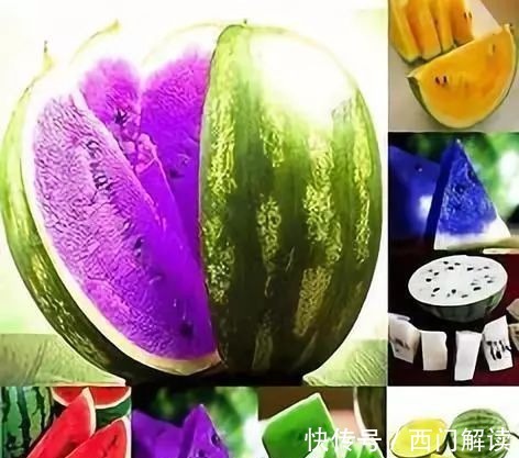 你绝对没见过的奇特的瓜果蔬菜!大开眼界!