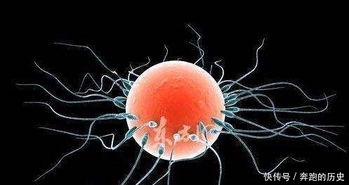 小宝宝|“受精卵着床时”的5个奇妙感觉，粗心的宝妈你有体会到了吗